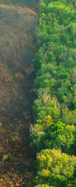 產品碳足跡及ISO14067標準